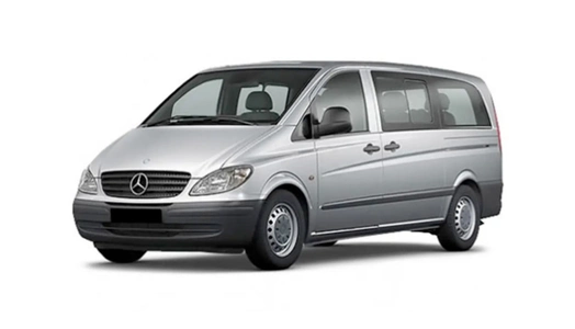 Mercedes Vito [W639] (2003-2005) задні двері